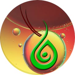 Blòm logo